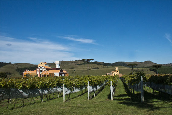 o-que-fazer-sao-joaquim