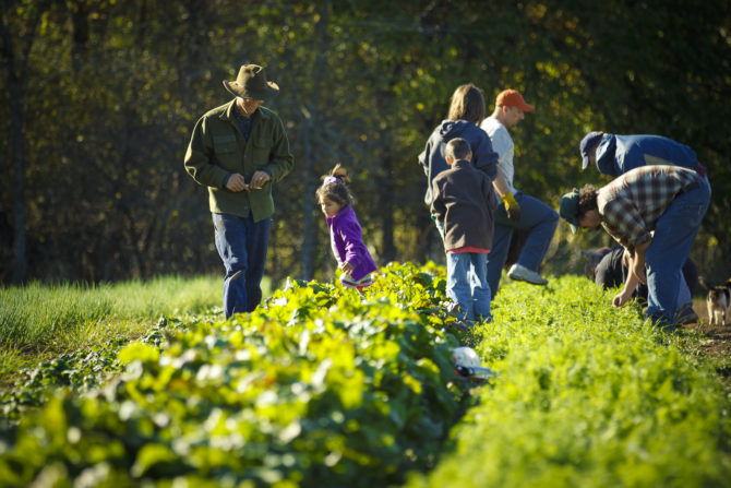 Preservação dos espaços rurais