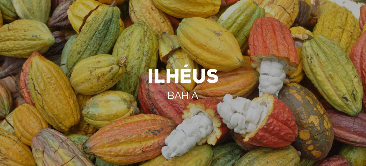 Ilhéus - Bahia