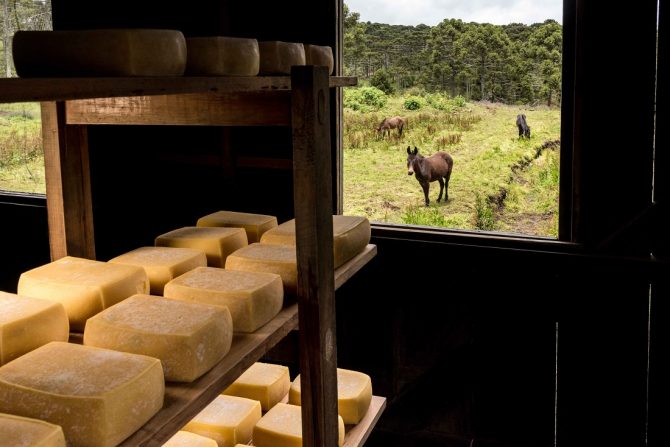 Queijo Artesanal Serrano